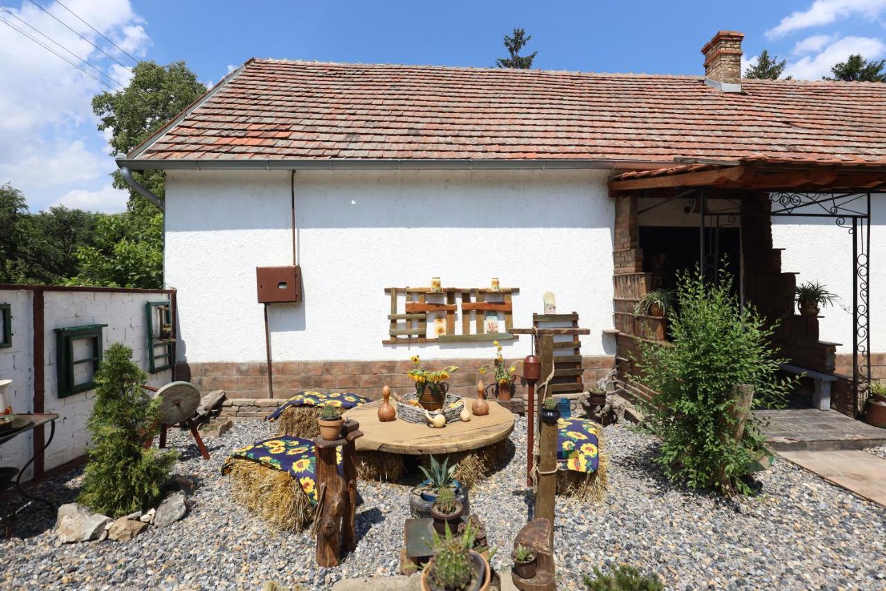 Bed and Breakfast Etno Kuca Teodora Stajicevo Екстер'єр фото