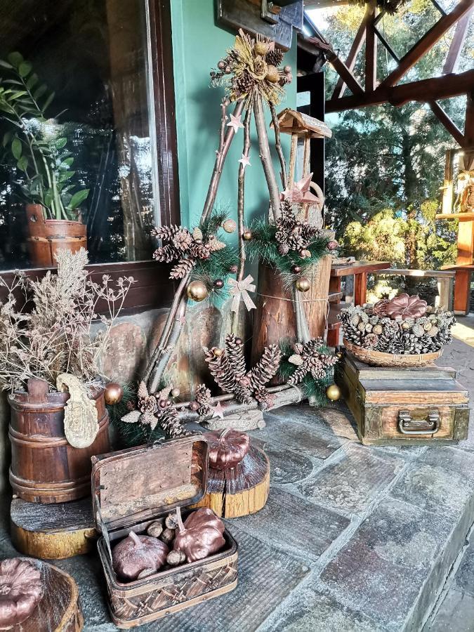 Bed and Breakfast Etno Kuca Teodora Stajicevo Екстер'єр фото